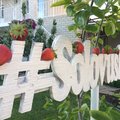 Solovushka