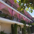 FLAMINGO (фламинго)