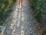 Відгук про Приватне домоволодіння Фієста, common.months_num.08 2013, фото 2