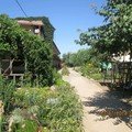 Відгук про Приватне домоволодіння Фієста, common.months_num.04 2015, фото 15