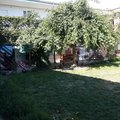 Відгук про Приватне домоволодіння Олександрія, common.months_num.07 2016, фото 1