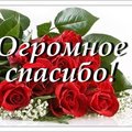 Отзыв про Частный пансионат РАЯНДА, common.months_num.08 2018, фото 