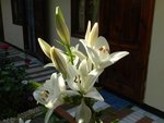 Отзыв про Частное домовладение Орхидея, январь , фото 