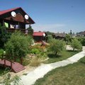 Три кита